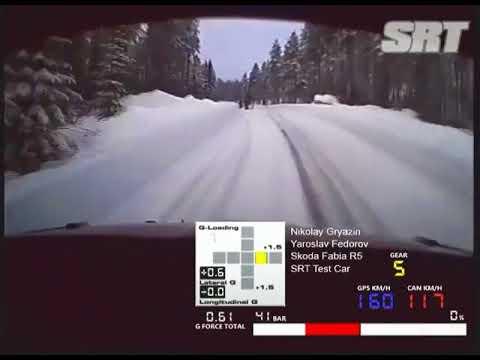 Лоси на 160 км/ч: видео